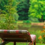 Naturbadeteich Teichwiesn