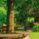 Teichwiesn im Sommer