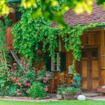 Teichwiesn Sauna-Haus